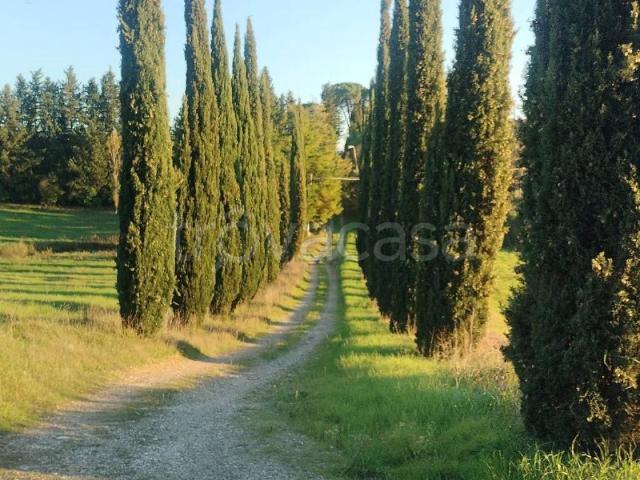 Villa Bifamiliare in in affitto da privato a Lastra a Signa via di Carcheri, 215, giardino, posto auto, da privato TrovaCasa