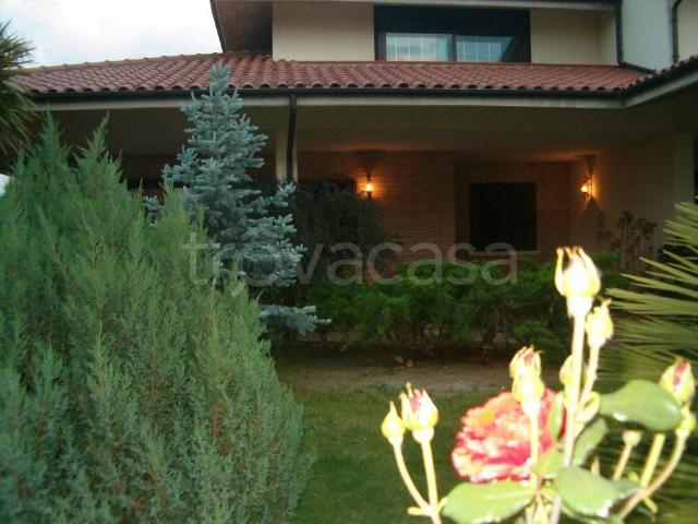 Villa Bifamiliare in in affitto da privato a Nocciano strada Provinciale Villa San Giovanni Nocciano, 81, giardino, posto auto, da privato TrovaCasa