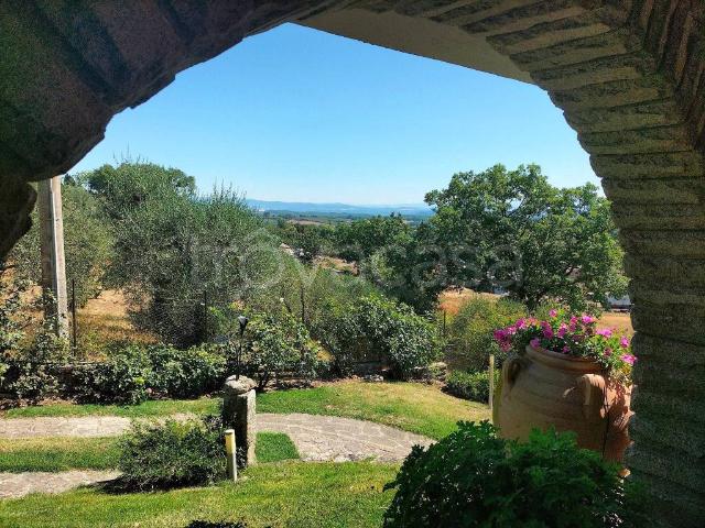 Villa Bifamiliare in in affitto da privato a Soriano nel Cimino strada della Caprola, giardino, terrazzo, da privato TrovaCasa