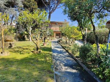 Lavinio Lido di Enea, Latina Lazio - Giardino