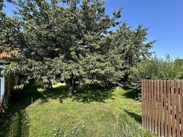 Villa Brandis Brandis 105460634