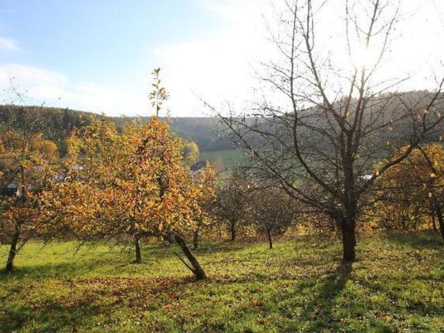 Villa Breuberg Breuberg 105462297