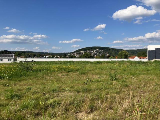 Villa Büdingen Büdingen 105717445