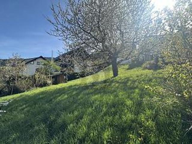 Villa Bühlertal Bühlertal 105946089