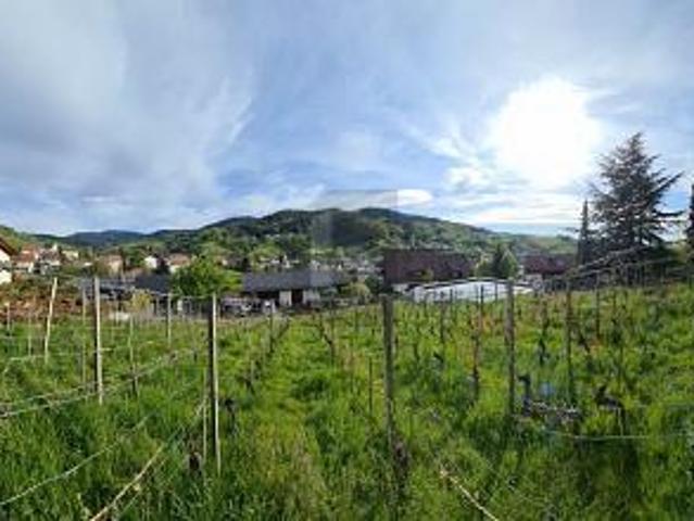 Villa Bühlertal Bühlertal 106032390