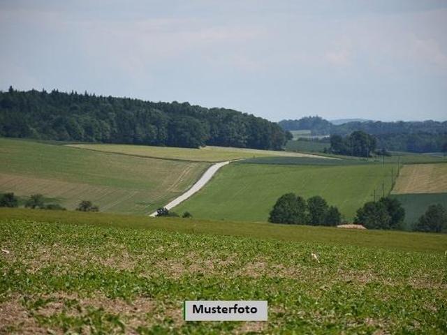 Villa Butzbach Butzbach 105454589