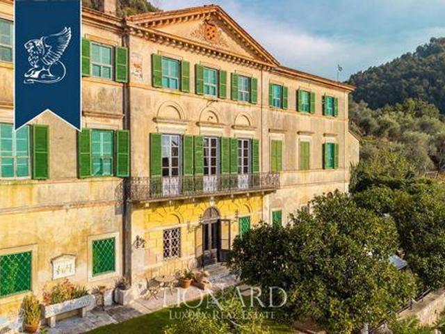 Villa Camaiore Lucca DLS90124977