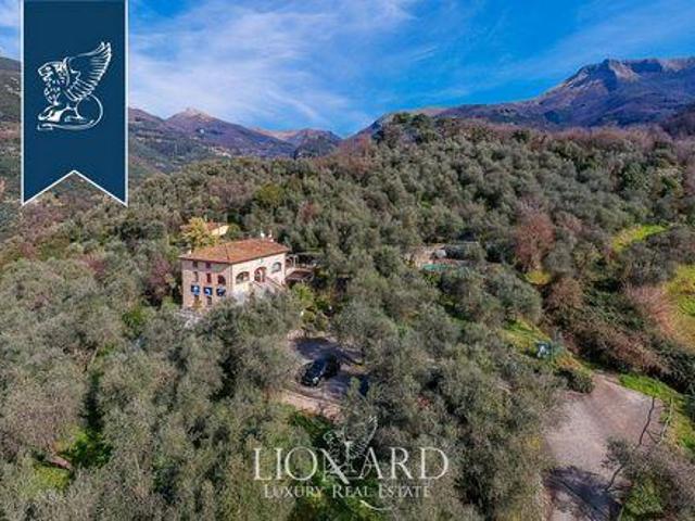 Villa Camaiore Lucca DS96327514