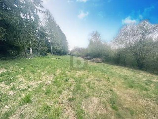 Villa Calw Calw 105704899