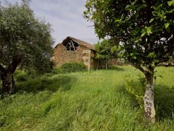 villa Castelo Branco Castelo Branco 6000 DS101339769