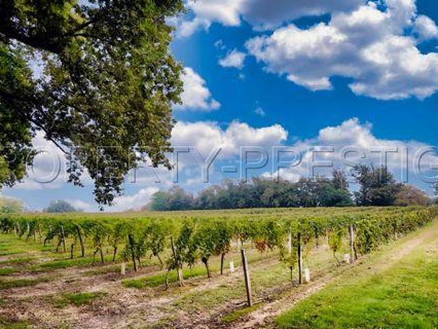 Villa Castex d'Armagnac Midi Pyrénées 32240 DS97101041
