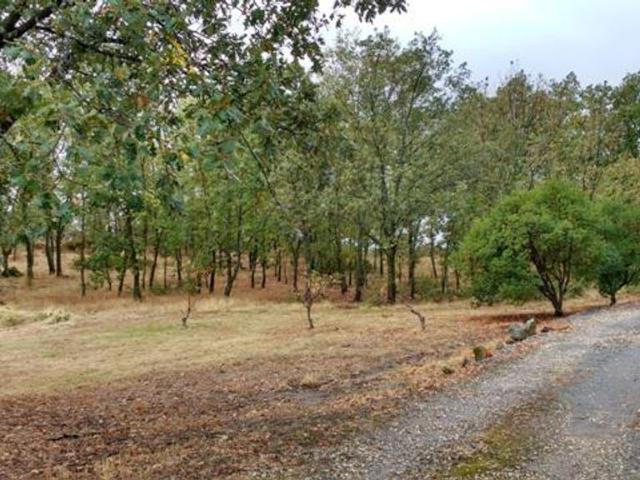 Villa / Chalet de 32500 m2 en venta en Plasencia, España