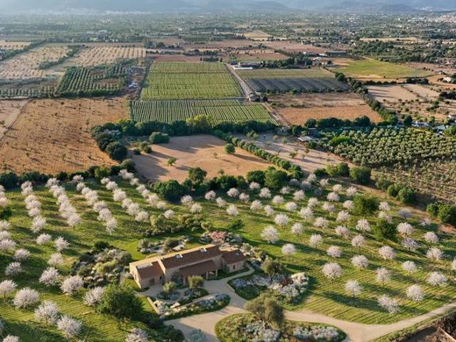 Villa / Chalet de 430 m2 en venta en Binissalem, Baleares
