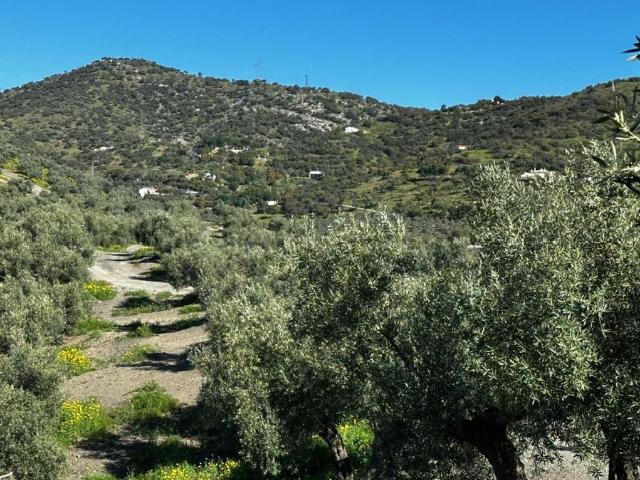 Villa / Chalet de lujo 300 m2 en venta, Andújar, España