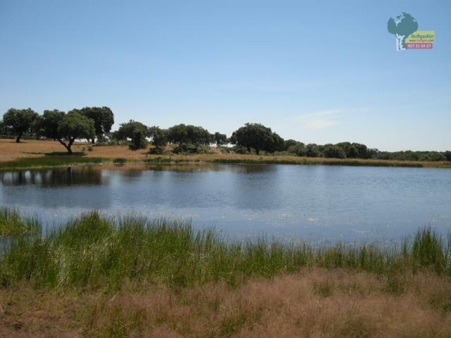Villa / Chalet de lujo de 8400000 m2 en venta en Salorino, España