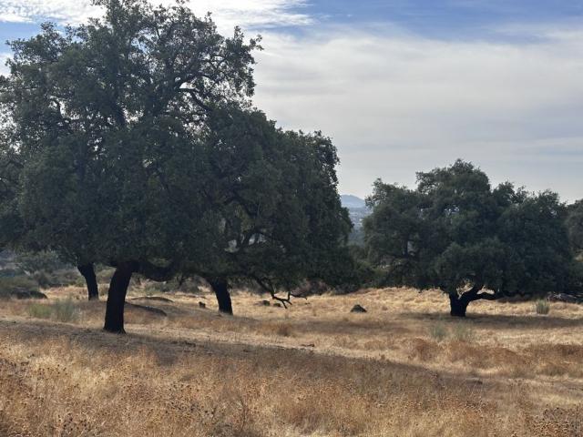 Villa / Chalet de lujo en venta Valencia de Alcántara, Extremadura