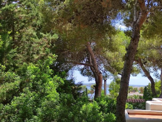 Villa / Chalet en venta Sant Carles de Peralta, España