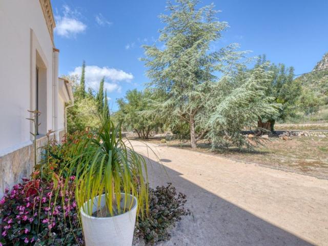 Villa / Chalet en venta Torrevieja, Comunidad Valenciana