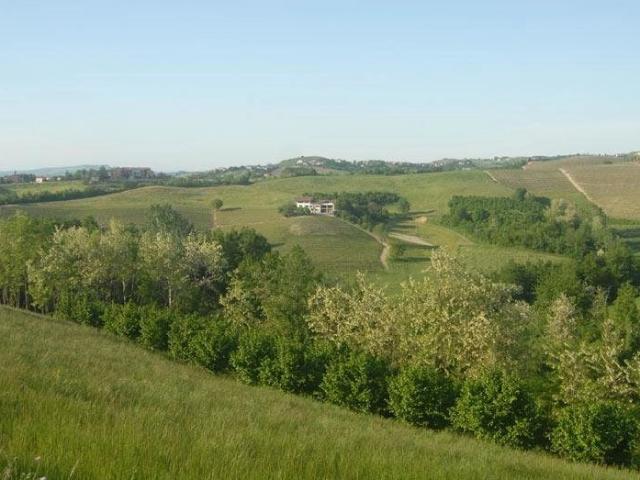 Villa con 13 ha di terreno in posizione dominante 1166m² Bastia Mondovì