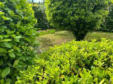 Villa con giardino, Cerreto Guidi bassa