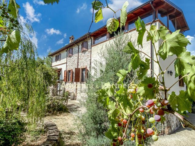 Villa con giardino a Todi