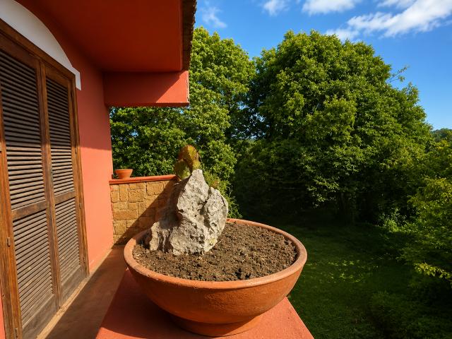 Villa con giardino a Torre Cajetani