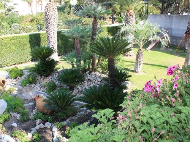 Villa con giardino a Canosa di Puglia