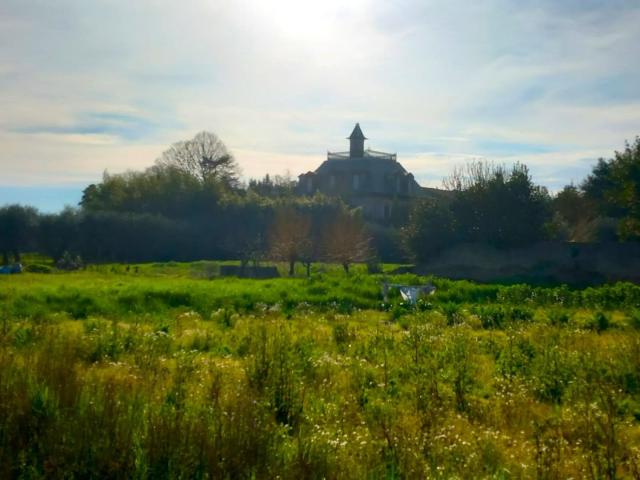 Villa con giardino a Pisa