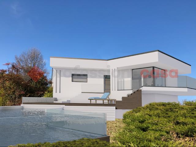 Villa con giardino a Dormelletto