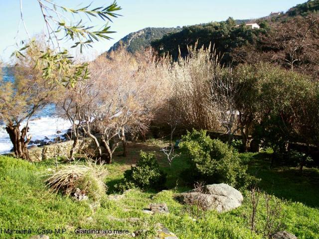 Villa con giardino a Marciana Marina