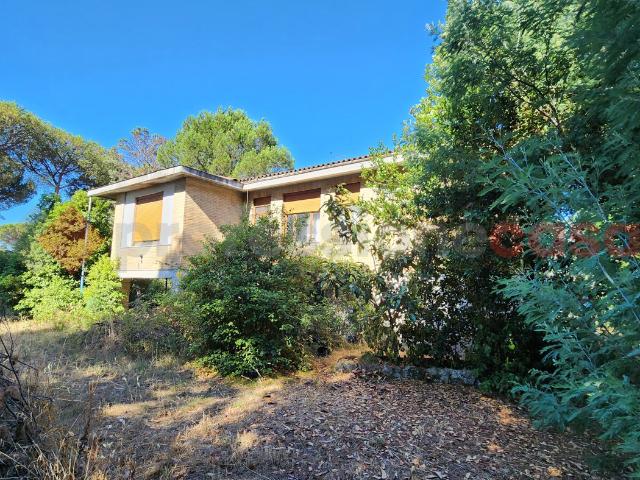 Villa con giardino a Roma