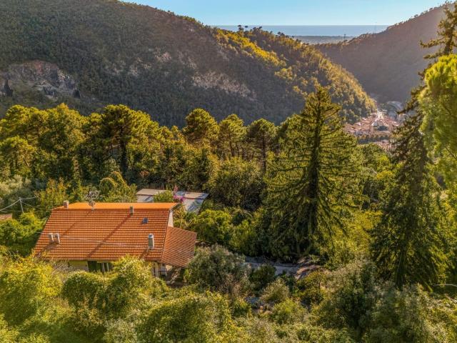 Villa con giardino a Seravezza