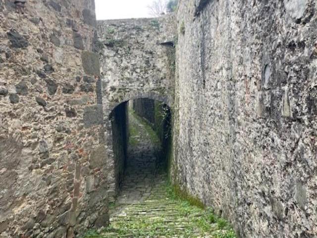 Villa con giardino, Borgo a Mozzano diecimo