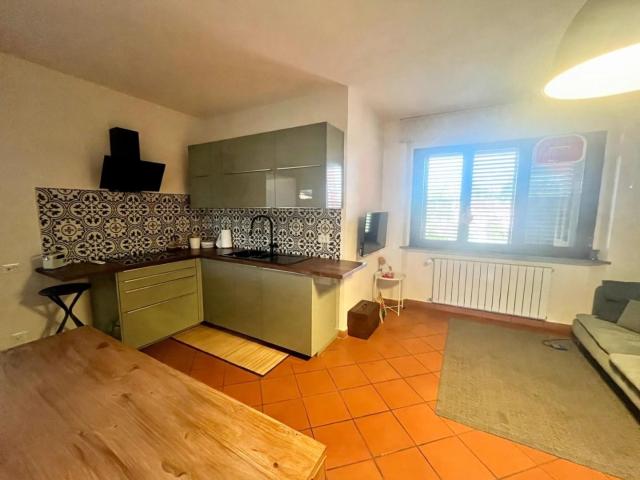 Villa con giardino, Fucecchio pinete