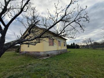 Villa con giardino, Fucecchio querce