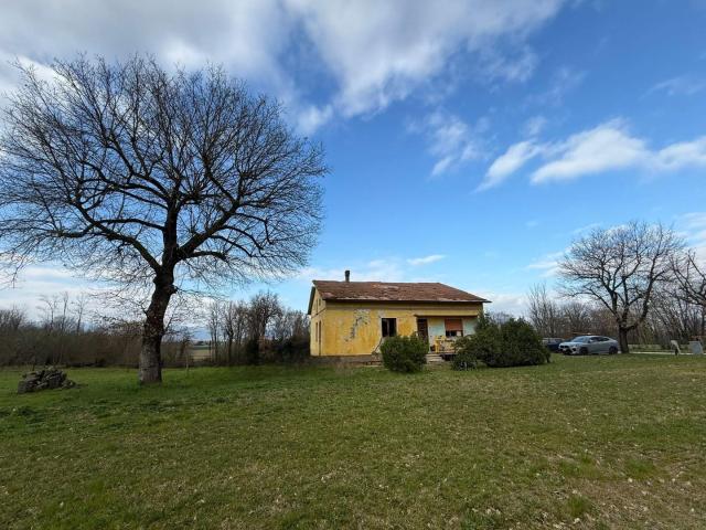 Villa con giardino, Fucecchio querce