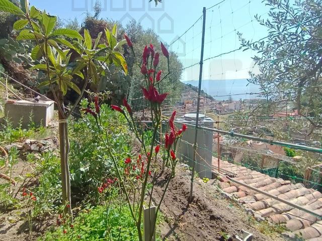 Villa con giardino in mili san marco, Messina