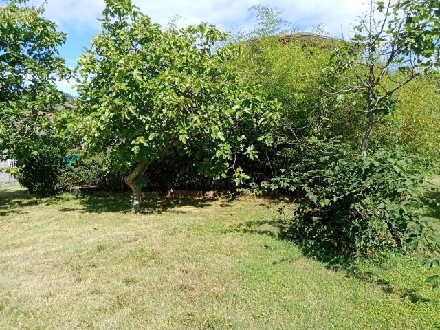 Villa con giardino, Licciana Nardi monti