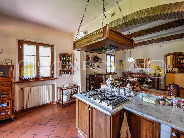 Villa con giardino, Lucca antraccoli