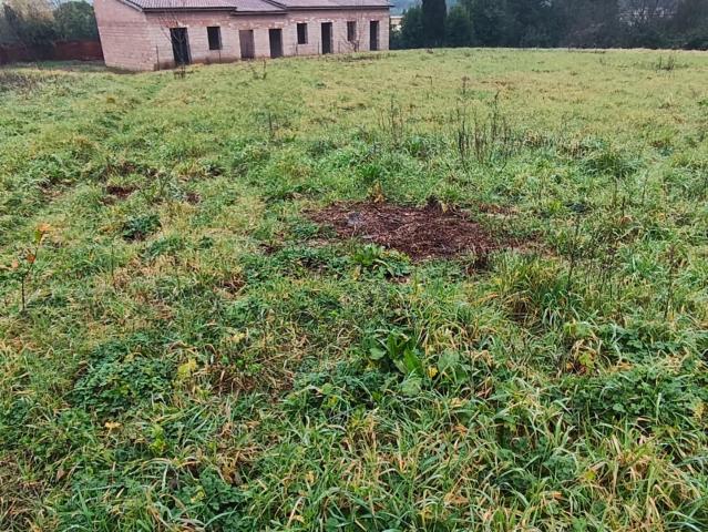 Villa con giardino, Lucca zona sud
