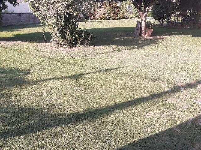 Villa con giardino, Montignoso renella