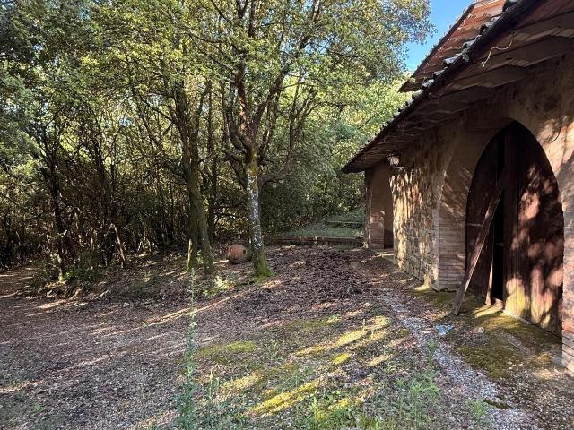 Villa con giardino, Murlo casciano