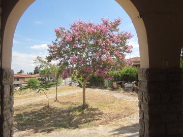 Villa con giardino, Peccioli fabbrica