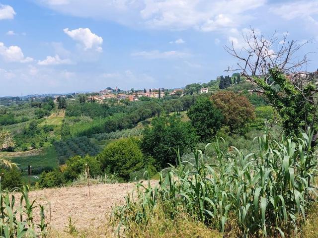 Villa con giardino, Terricciola soianella