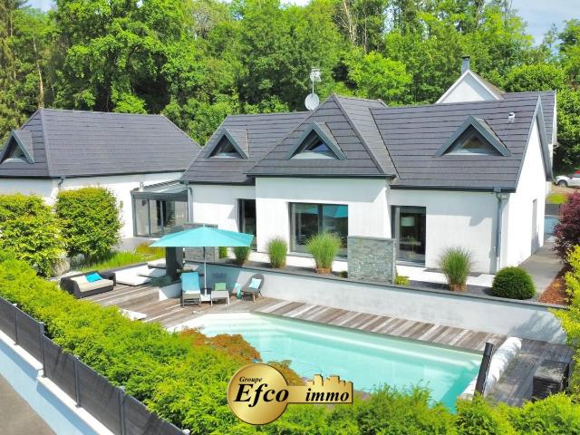 Villa D ' Exception A Hesingue 279m² Hésingue