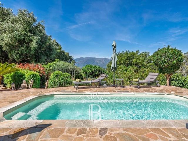 Villa de 5 pièces de luxe en vente Saint Florent, Corse