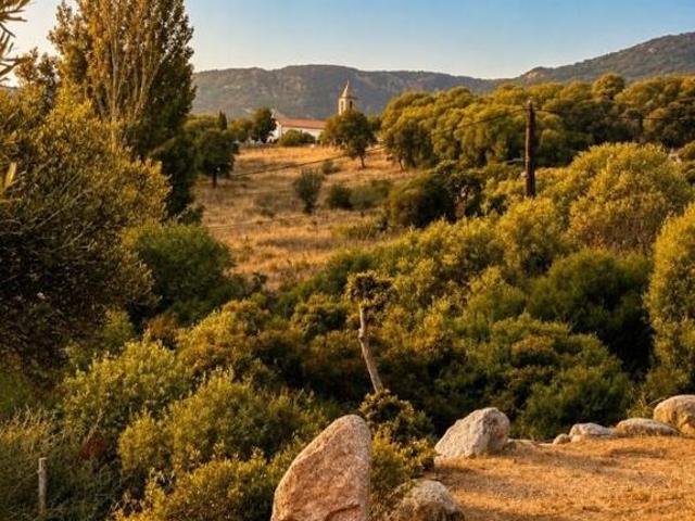 Villa de 6 pièces de luxe en vente Figari, France