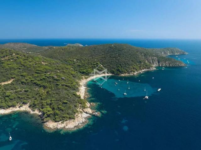 Villa de 10 pièces de luxe en location La Croix Valmer, Provence Alpes Côte d'Azur