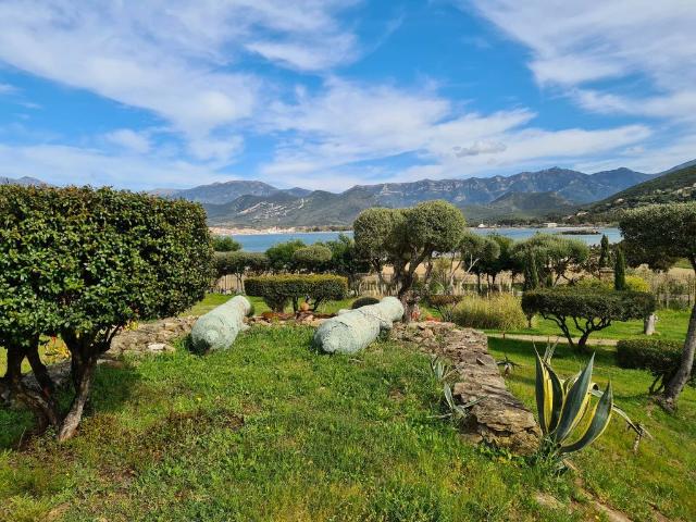 Villa de luxe de 17 pièces en vente Saint Florent, France