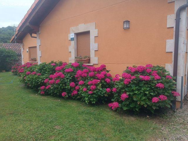 Villa de Lujo en Venta en Molledo, Cantabria